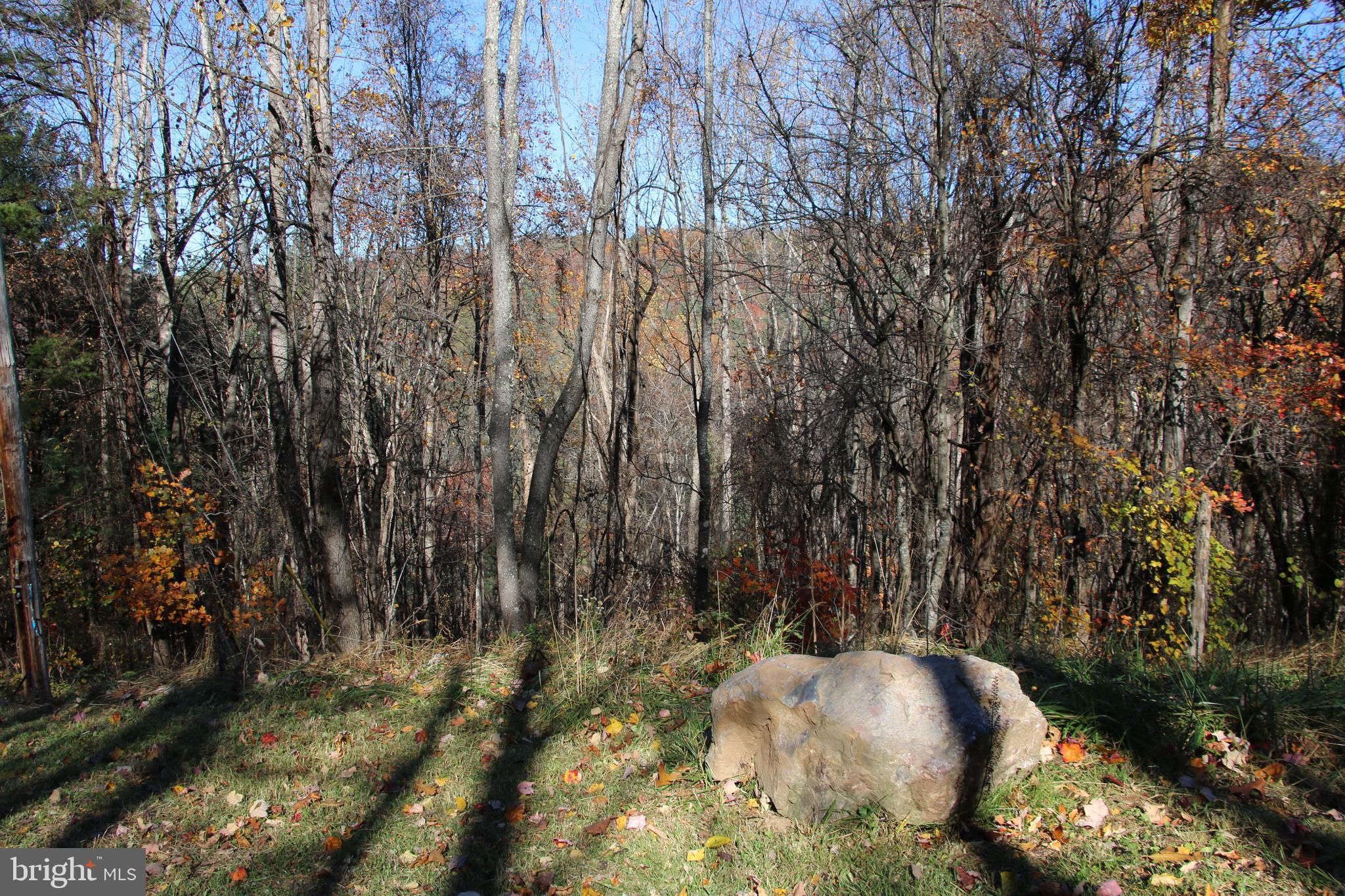OVERLOOK MOUNTAIN - Land