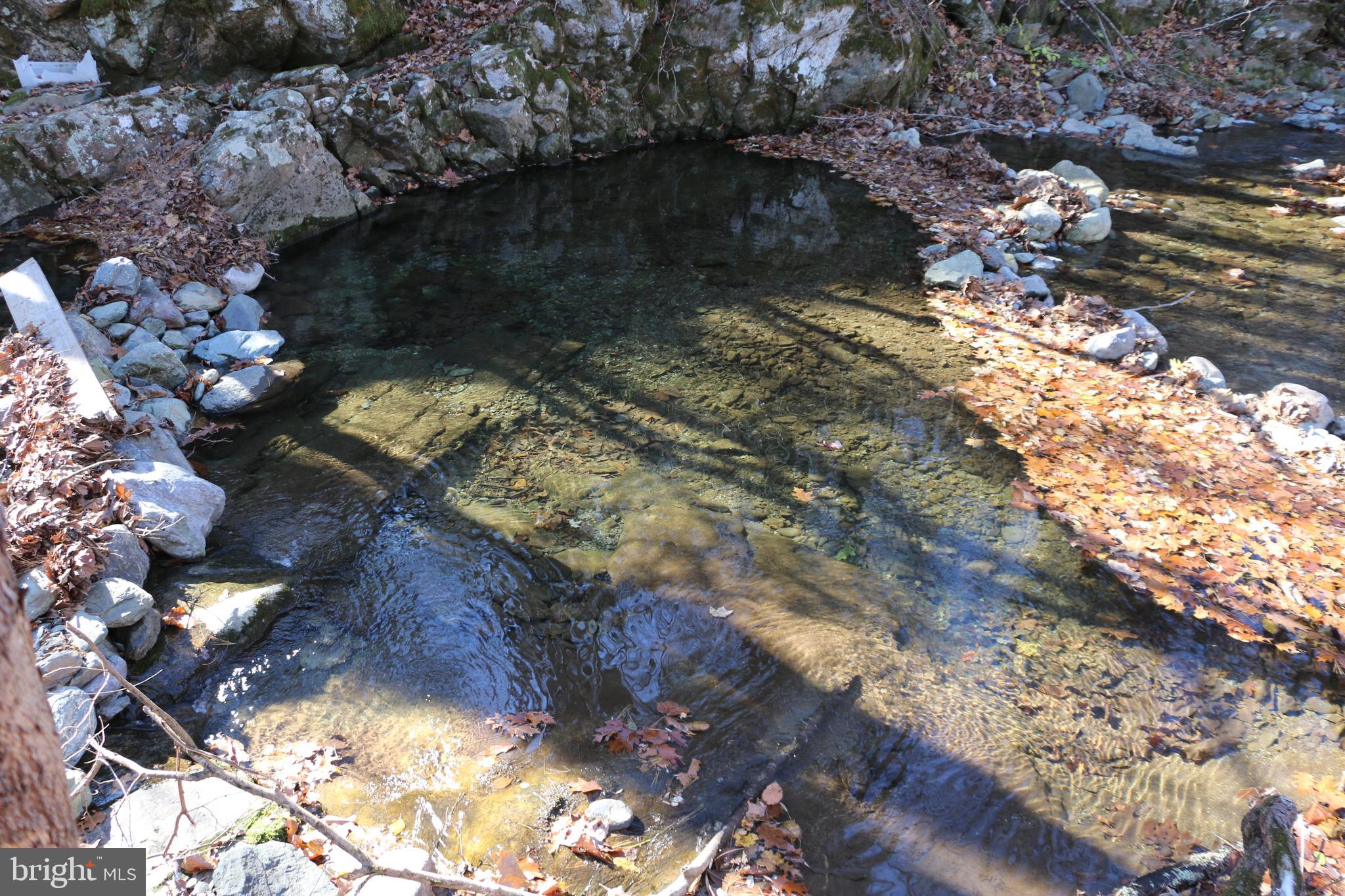 OVERLOOK MOUNTAIN - Land