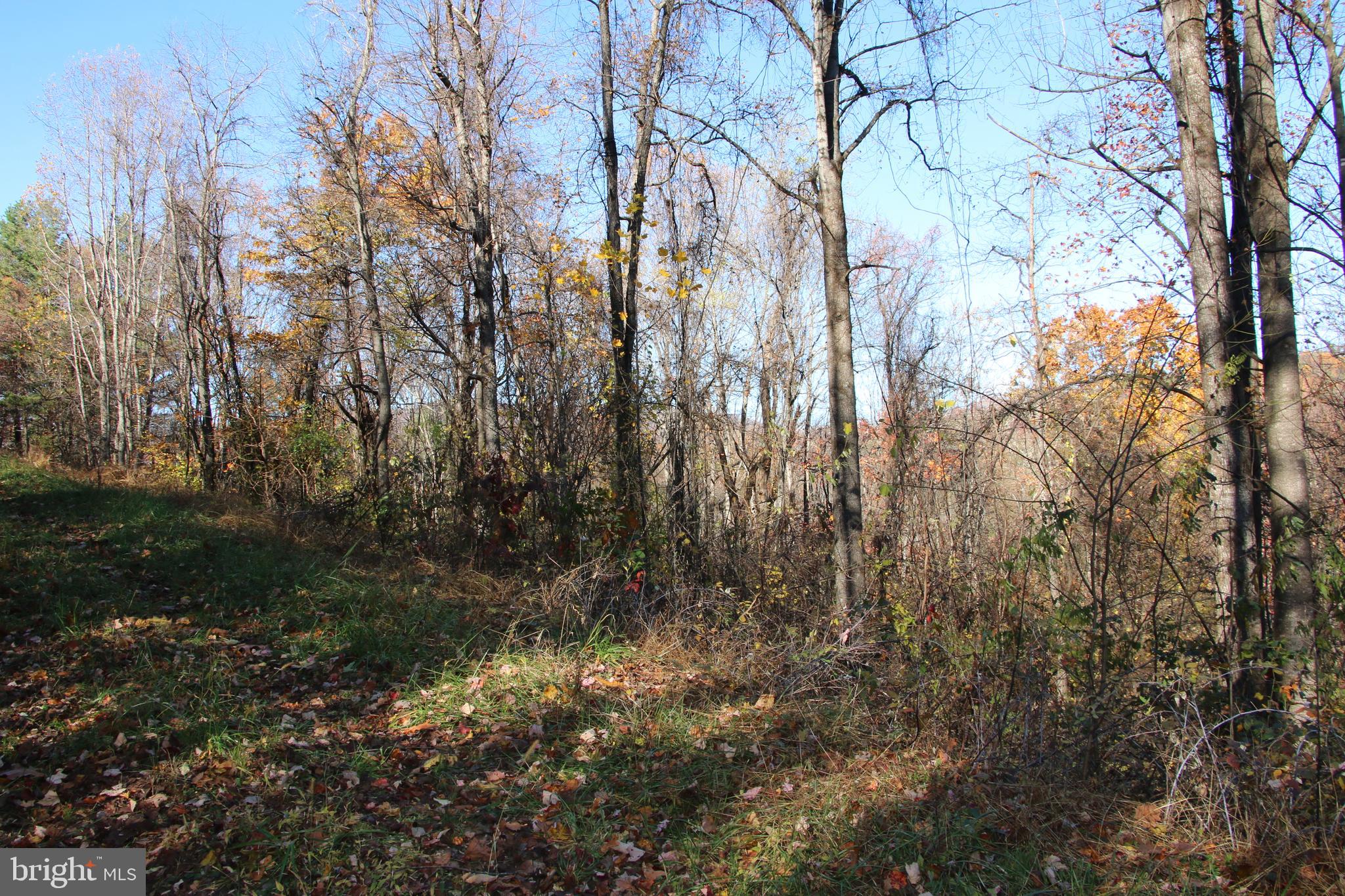 OVERLOOK MOUNTAIN - Land