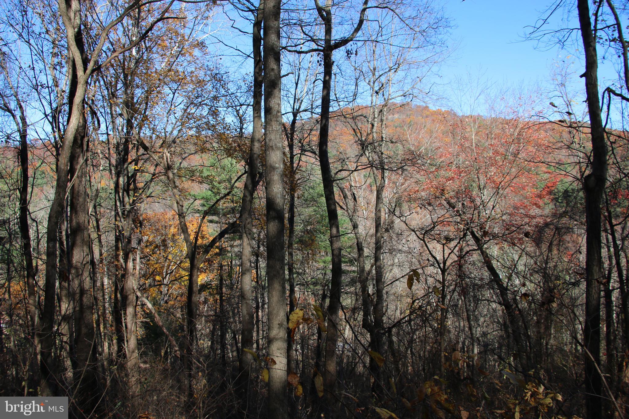 OVERLOOK MOUNTAIN - Land