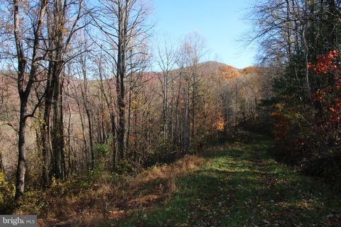 Vacant Land For Sale - Overlook Mountain Road<br/> Elkton, VA 22827