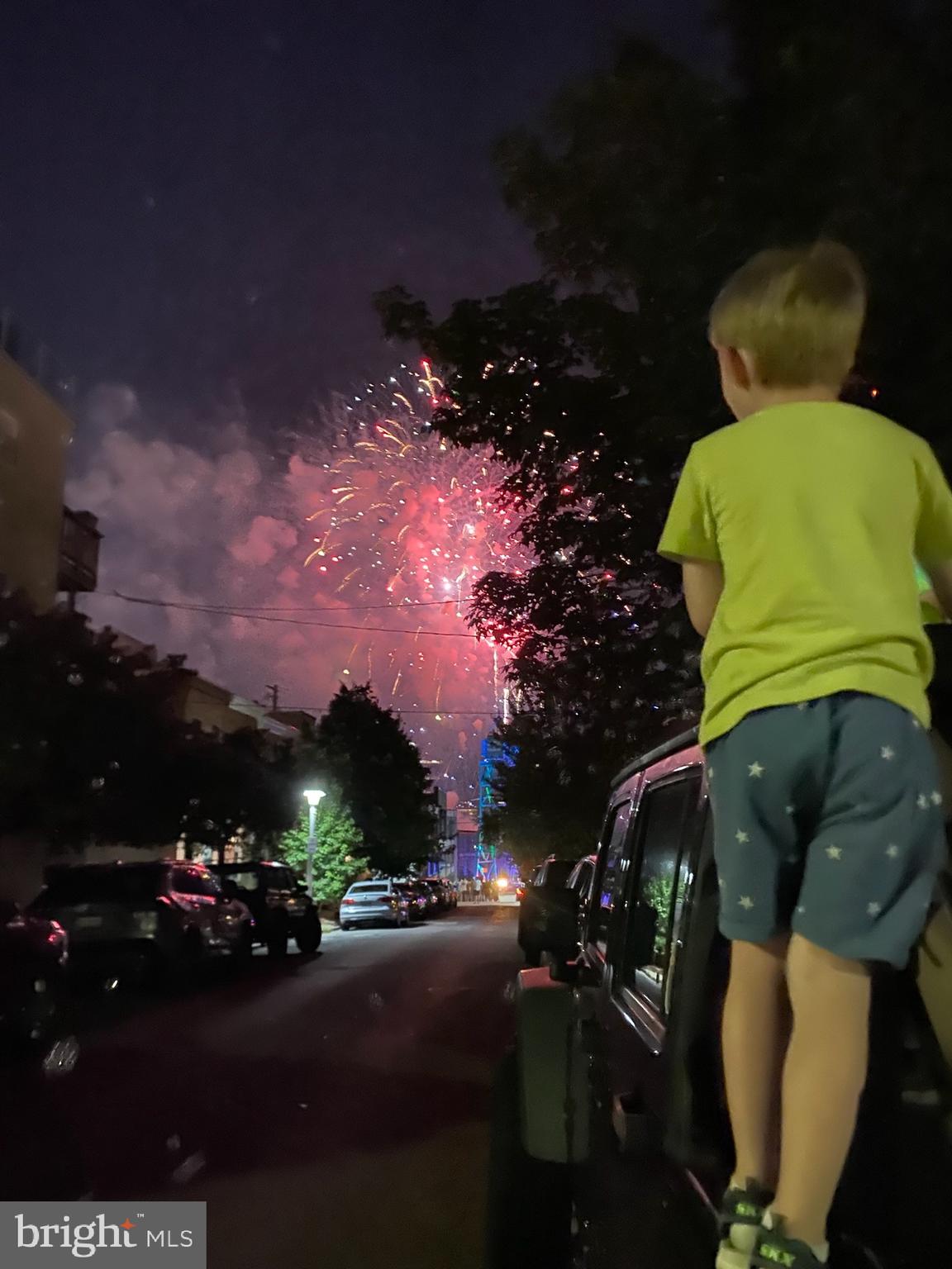 FEDERAL HILL HISTORIC DISTRICT - Residential