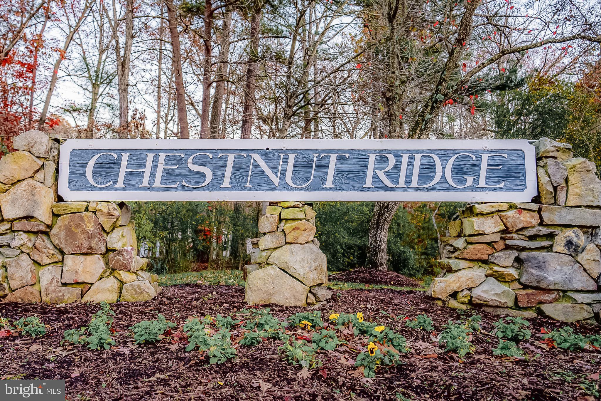 CHESTNUT RIDGE - Residential
