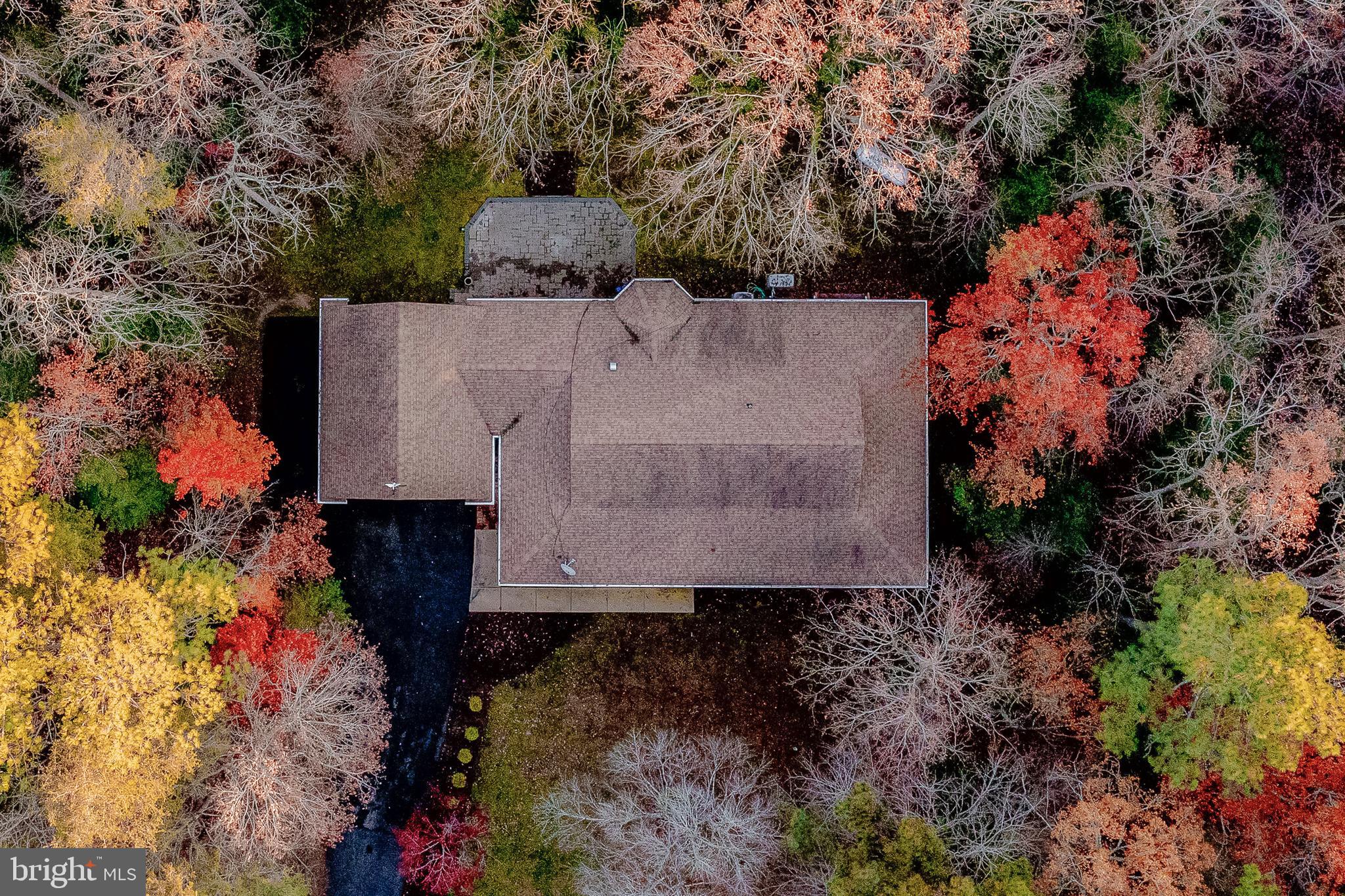 CHESTNUT RIDGE - Residential