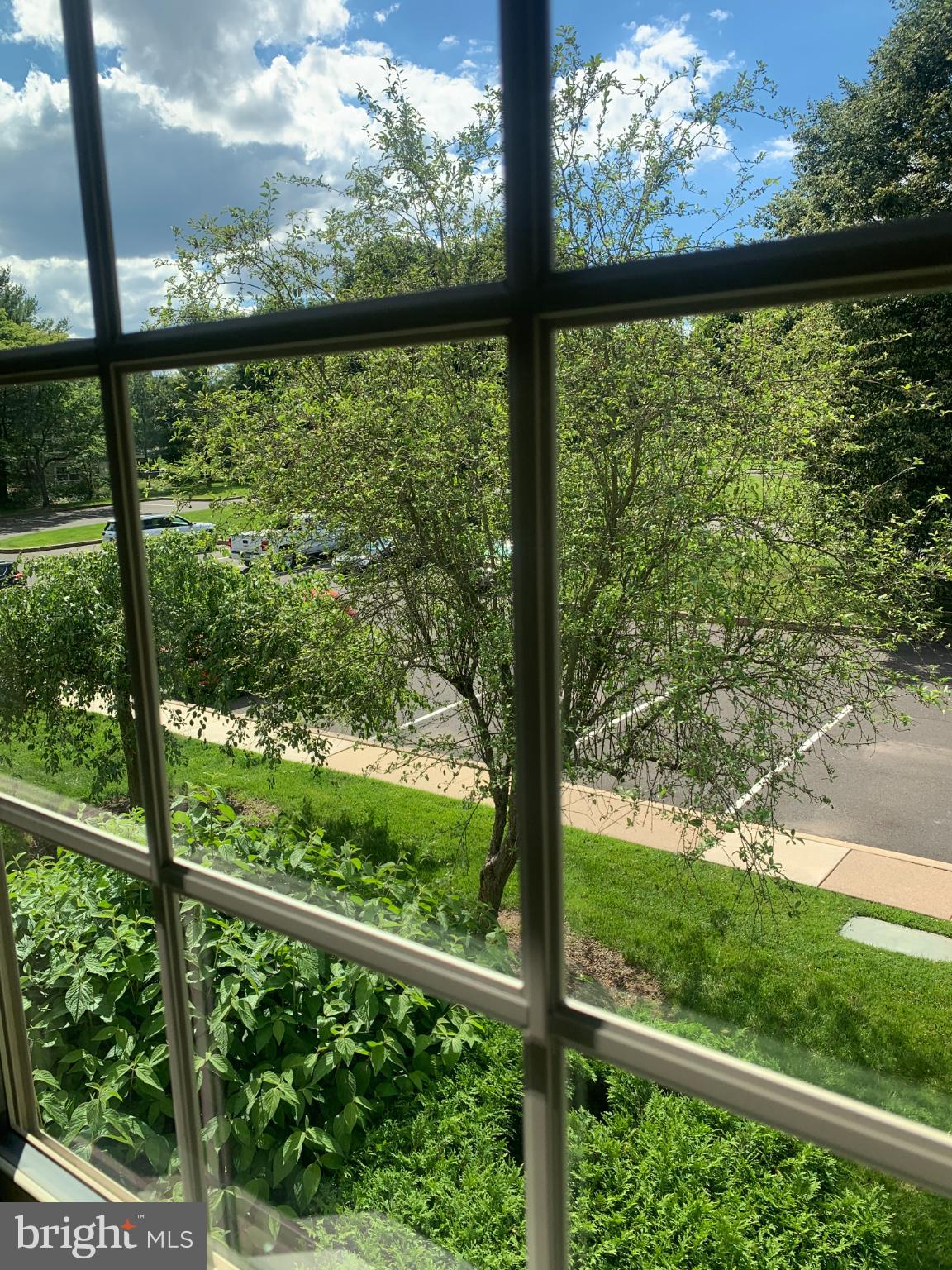 LINDENFIELD - Residential Lease