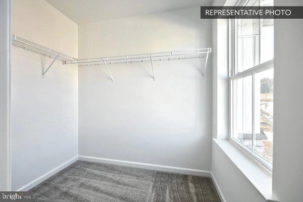 HICKORY POINTE - Residential