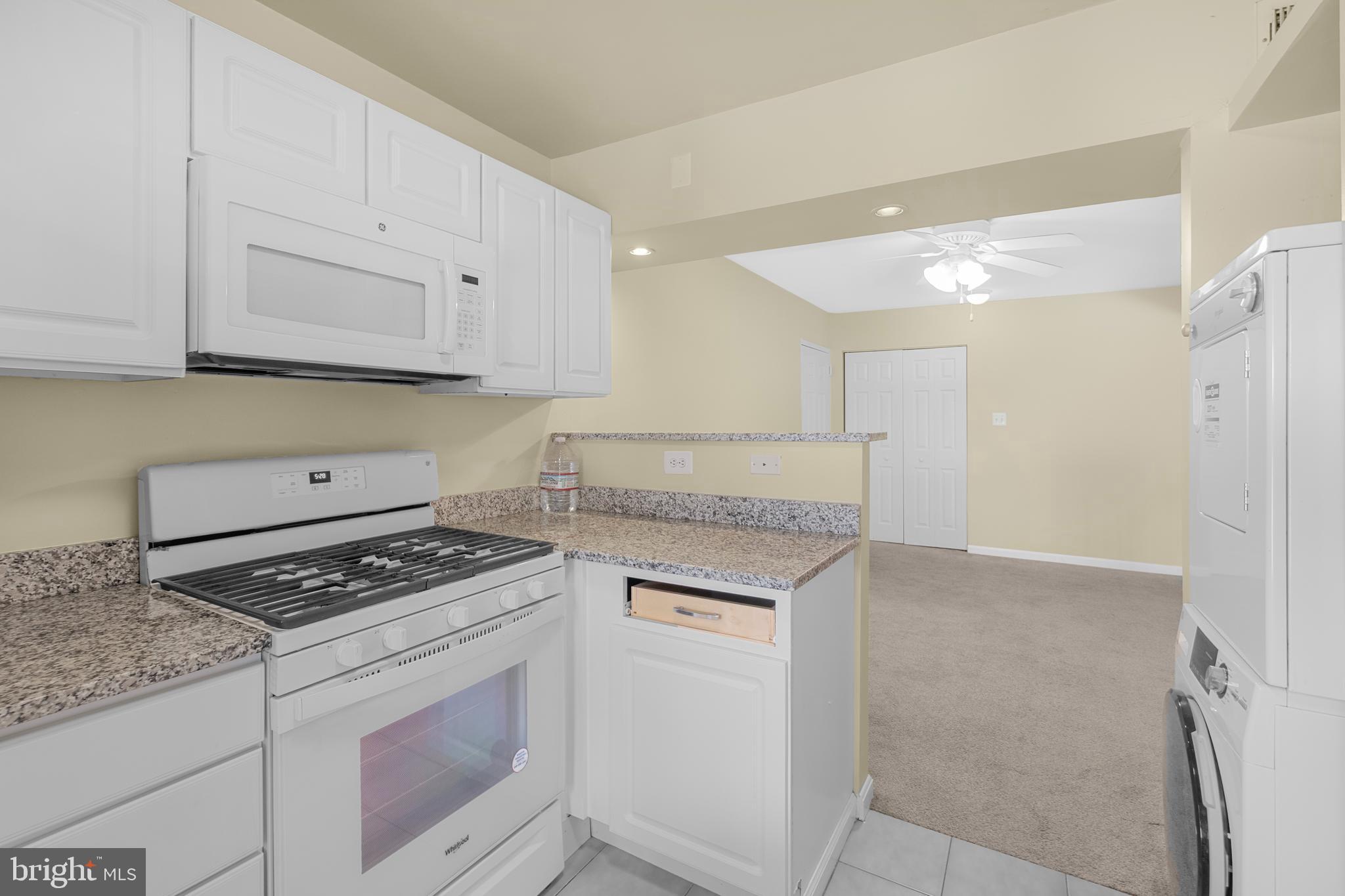 THE OASIS CONDOMINIUMS - Residential