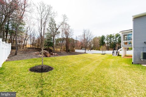 listing image 82