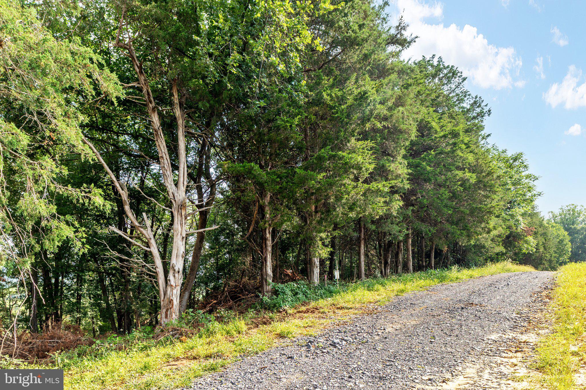 TRANQUIL LANE - LOT 8