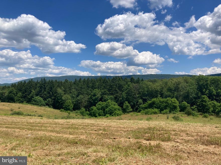 THIS IS THE ONE! Located on a quiet country road, you will find your private retreat on 10.83 UNRESTRICTED acres of rolling pastureland surrounded by woods.  NO NEIGHBORS IN SIGHT.  Million dollar views. Perfect for nature lovers and ideal for a peaceful escape to build a dream home or hobby farm. Property is about 10% wooded and 90% open land. Over$60k in recent improvements. Owner relocating to be with family. Improvements are as follows.Well-  NEW 240' deep with 50 gallon per minute flow.  Seperate spigot for RV hookupSeptic- NEW  Class 2 modified system 1000 gallon tank and Elgin drainfield.3brapproved. Extra line for RV Electrical- NEW 200 amp underground service. 200 amp outdoor rated service rack with attached GFI. Additional 100 amp panel for outbuilding and RV hookup
Driveway- NEW 400' long with 50x80 parking area. Additional 12x20 pad for 12x20 NEW shed
Dawn and dusk are the best times to view this spectacular property and take in the views and wildlife. Come to fresh air, friendly neighbors and starry nights. ( Yes you can actually see the stars here ) Plenty of cultural and outdoor  activities in Hampshire County, but only 2 traffic lights and more cows than people! Endless possibilities for revenue here as well.  2 hrs to Dulles, 2.5 hrs to DC, 1 hr to Winchester, 20 minutes to Romney. The pictures are nice but this needs to be seen in person!