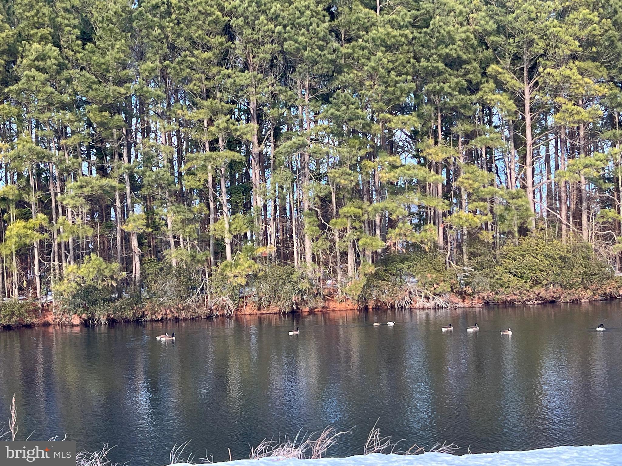 ASSATEAGUE PT RESORT - Residential