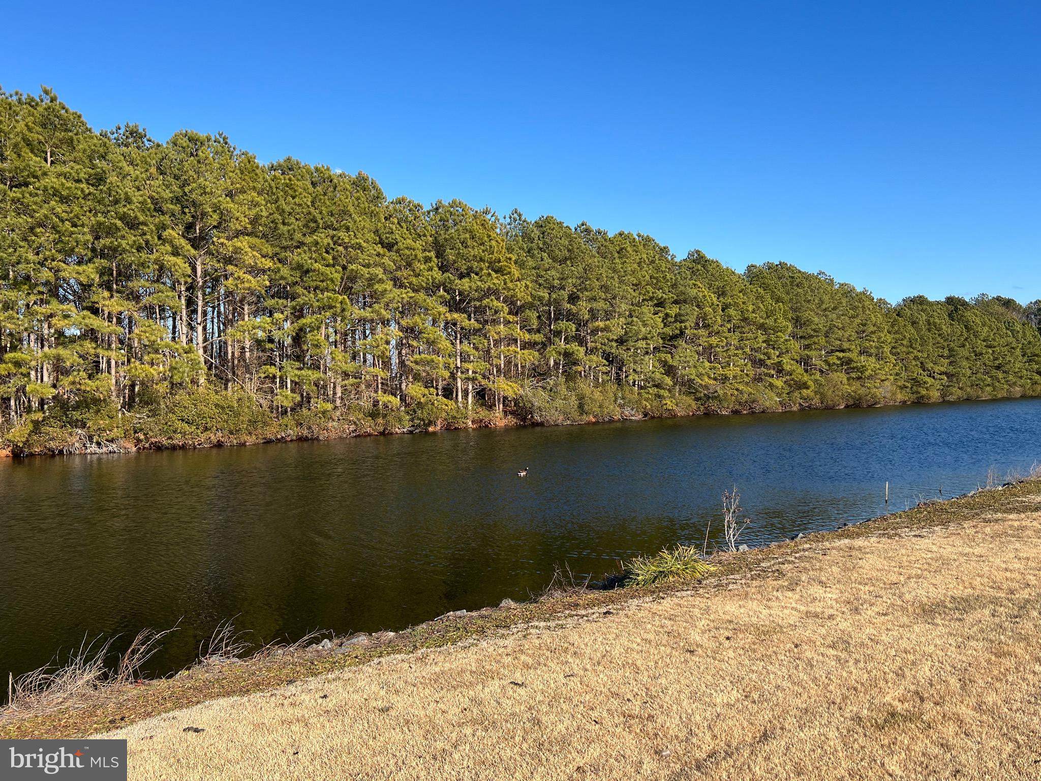 ASSATEAGUE PT RESORT - Residential