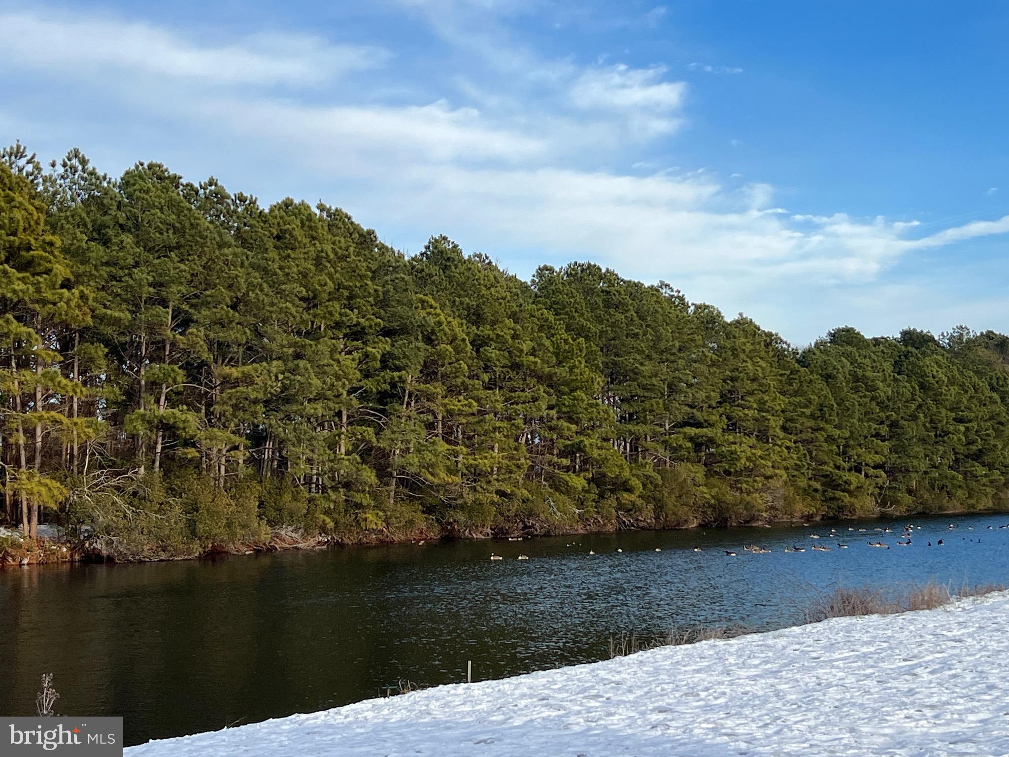 ASSATEAGUE PT RESORT - Residential