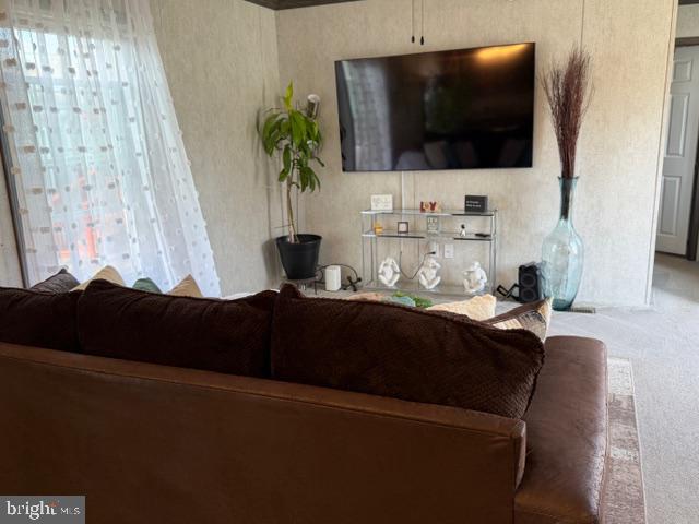 CEDARVILLE MOBILE HOME PARK - Residential