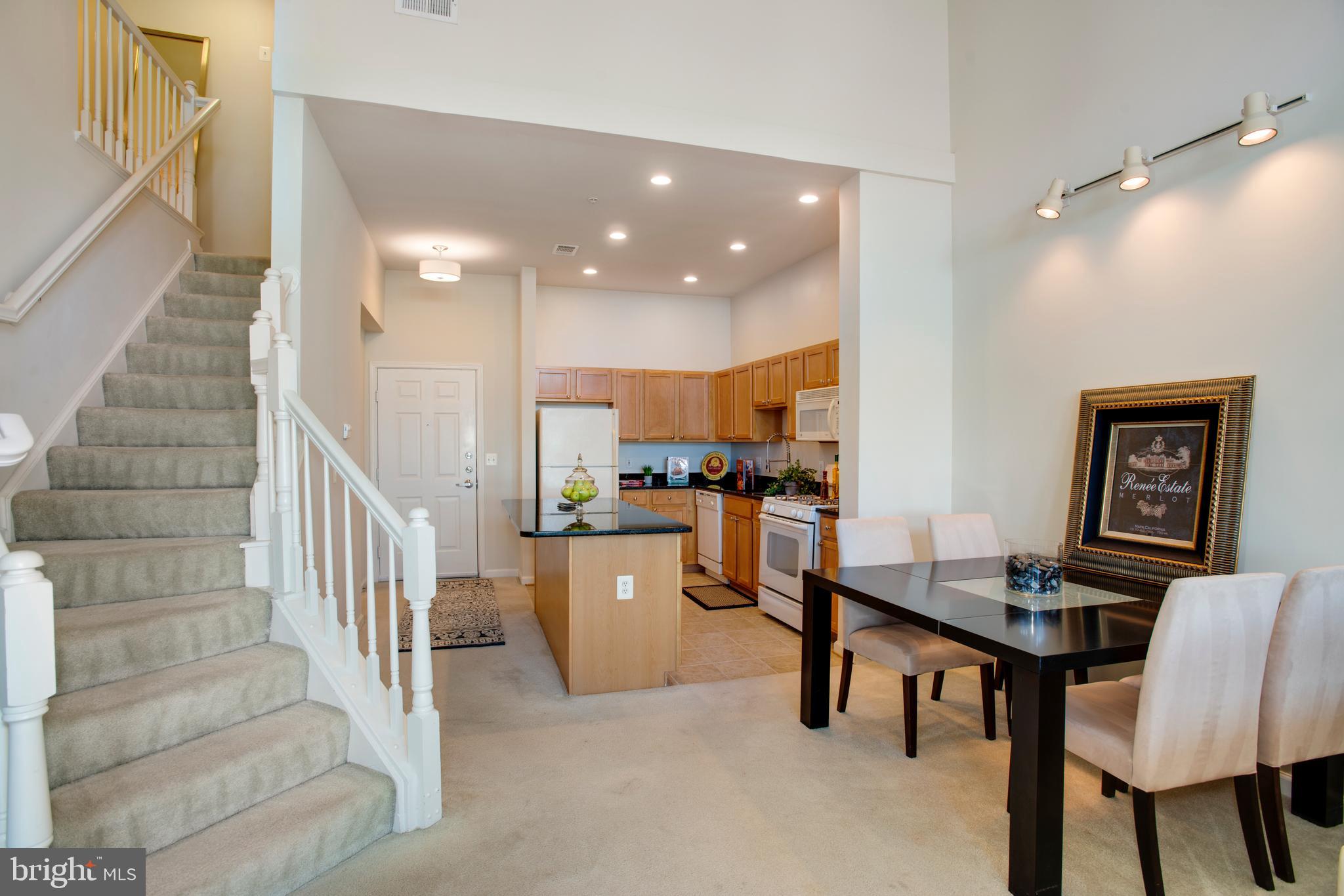 RESTON TOWN CENTER - Residential