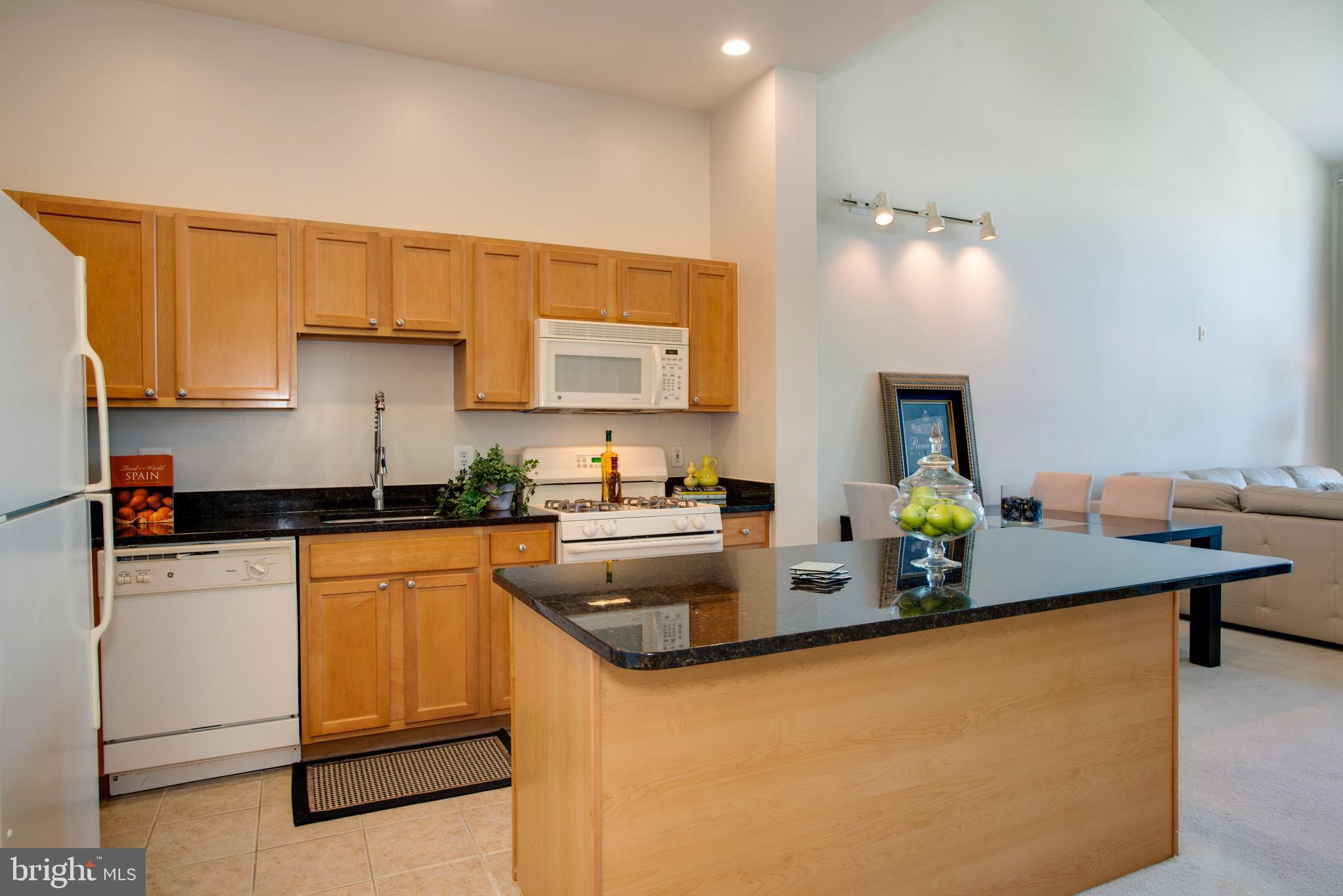 RESTON TOWN CENTER - Residential