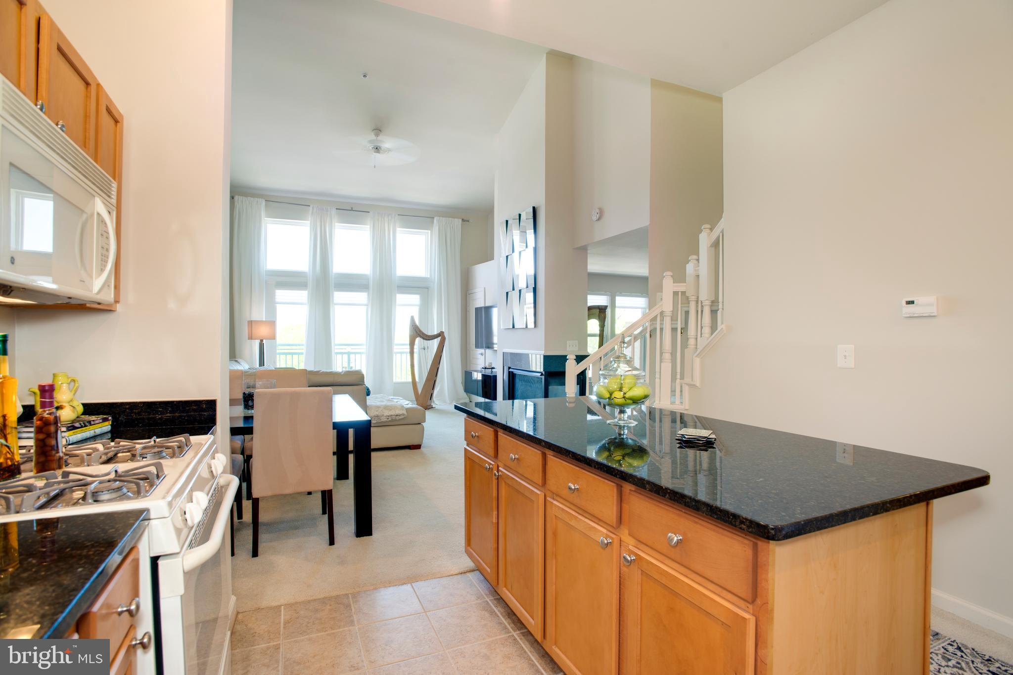 RESTON TOWN CENTER - Residential