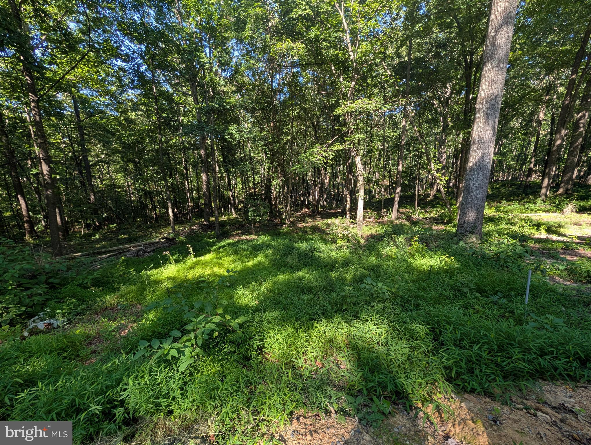 Lot 14 & 15 ROCK CREEK TRAIL