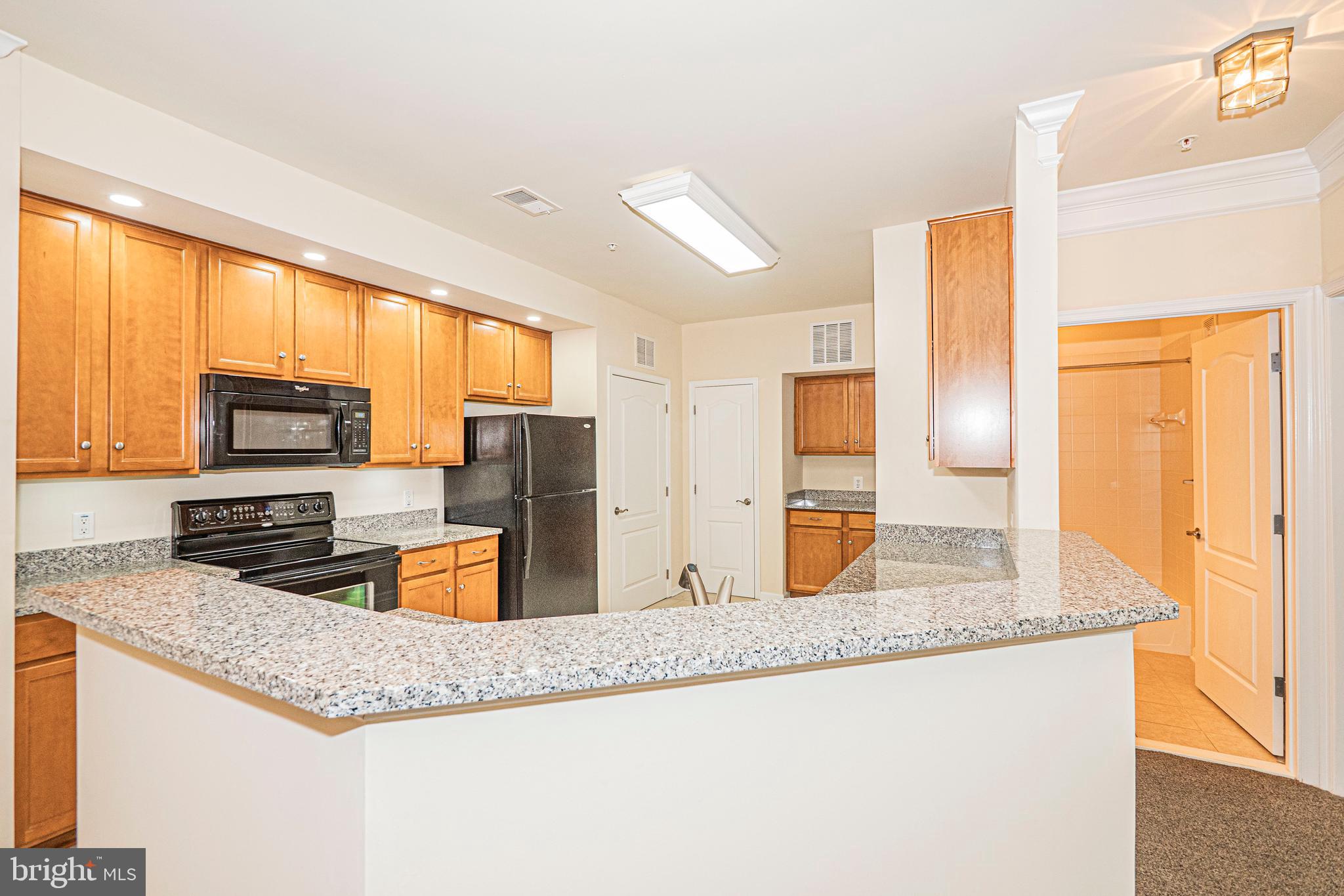 1405 WIGEON WAY 206