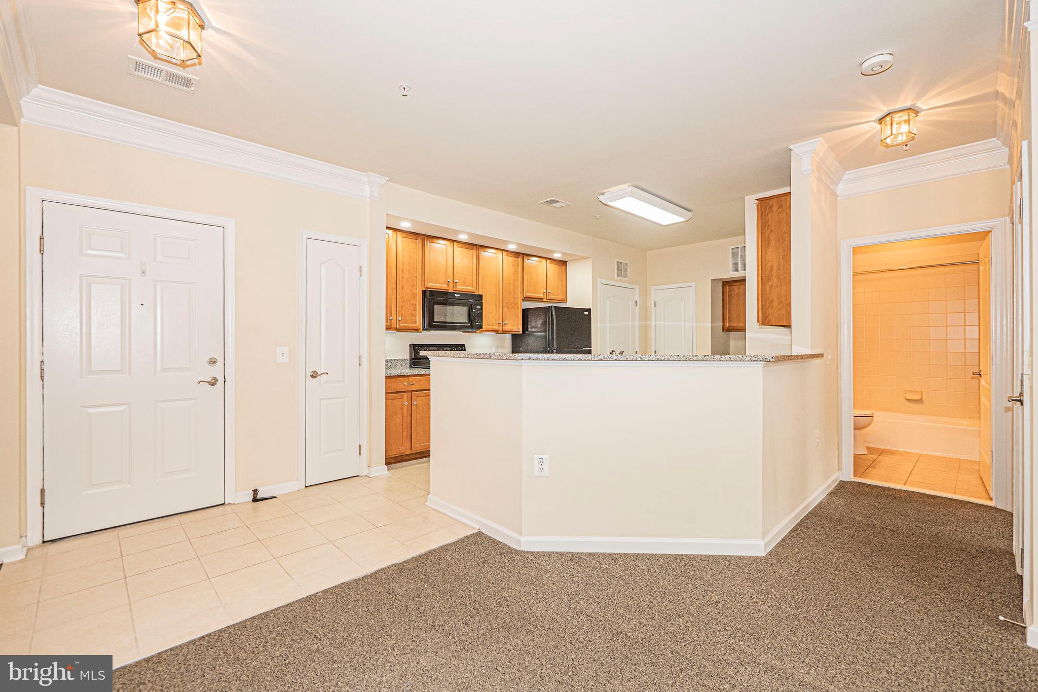 1405 WIGEON WAY 206
