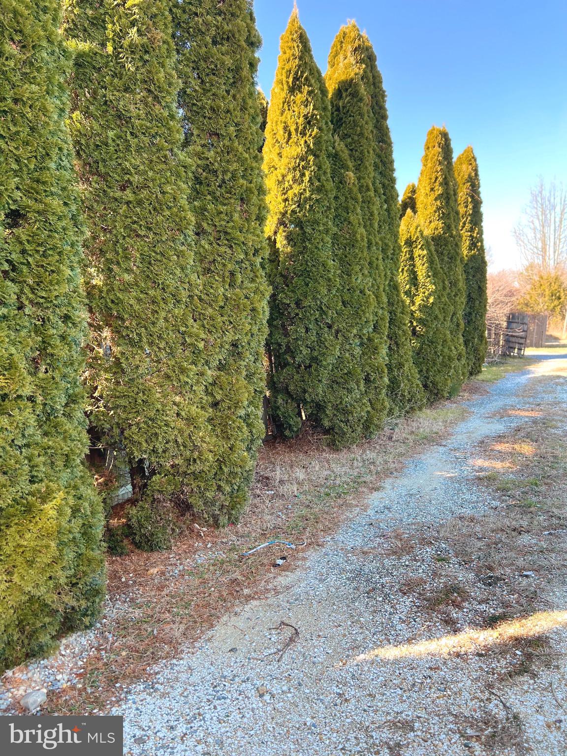 1802 STRAWBERRY AVENUE