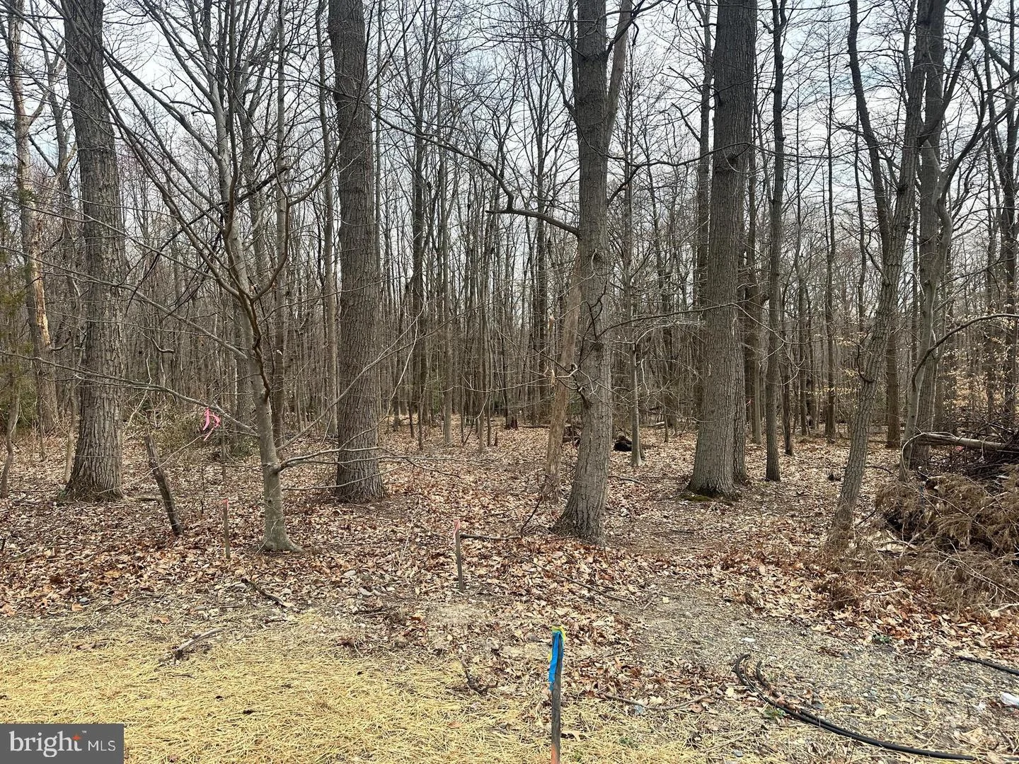 2507 Mountain Road