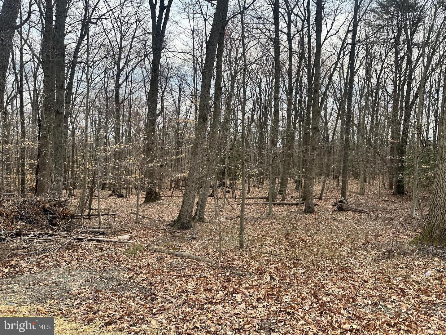 2507 MOUNTAIN ROAD