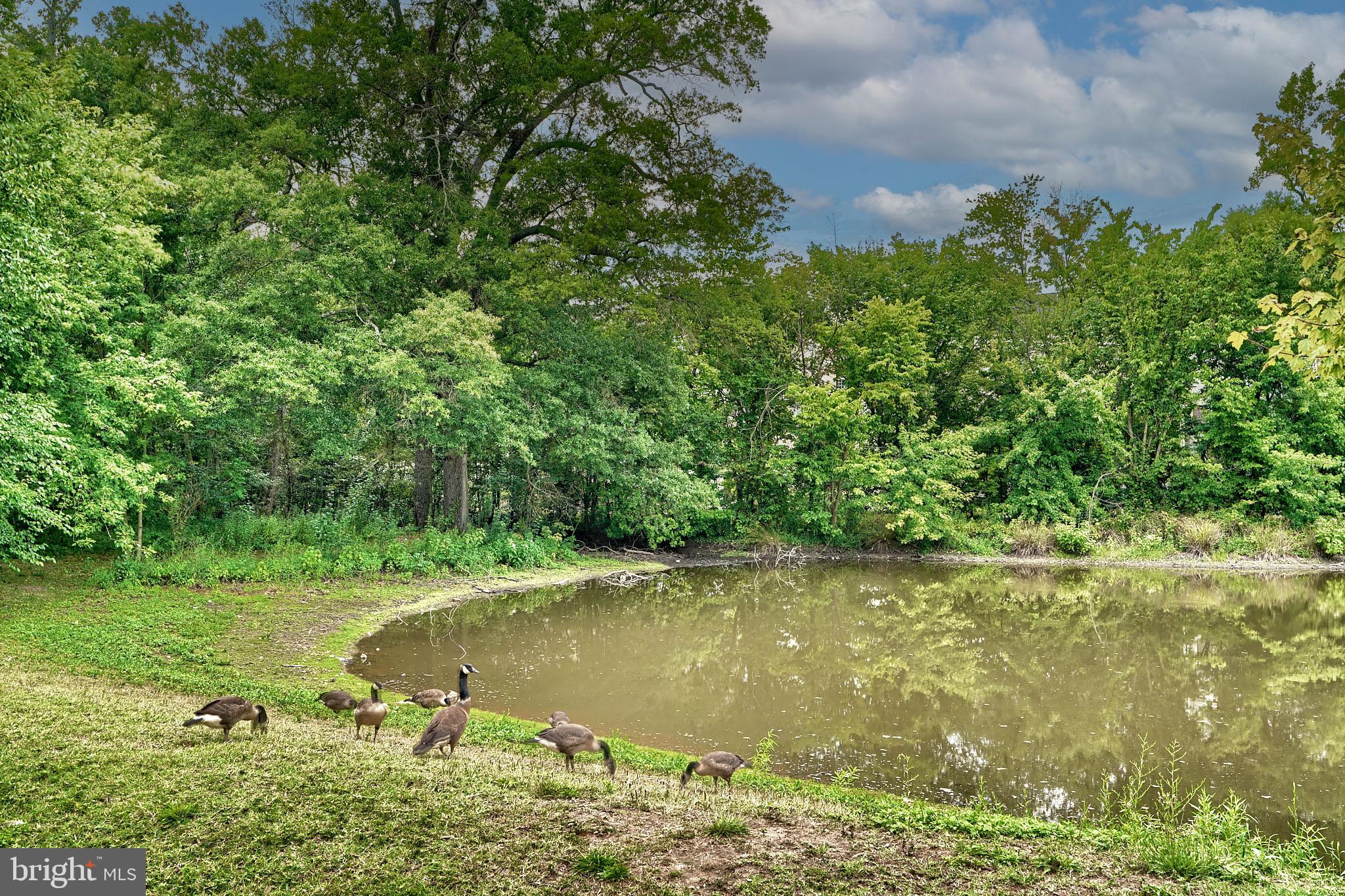 POND VIEW - Residential