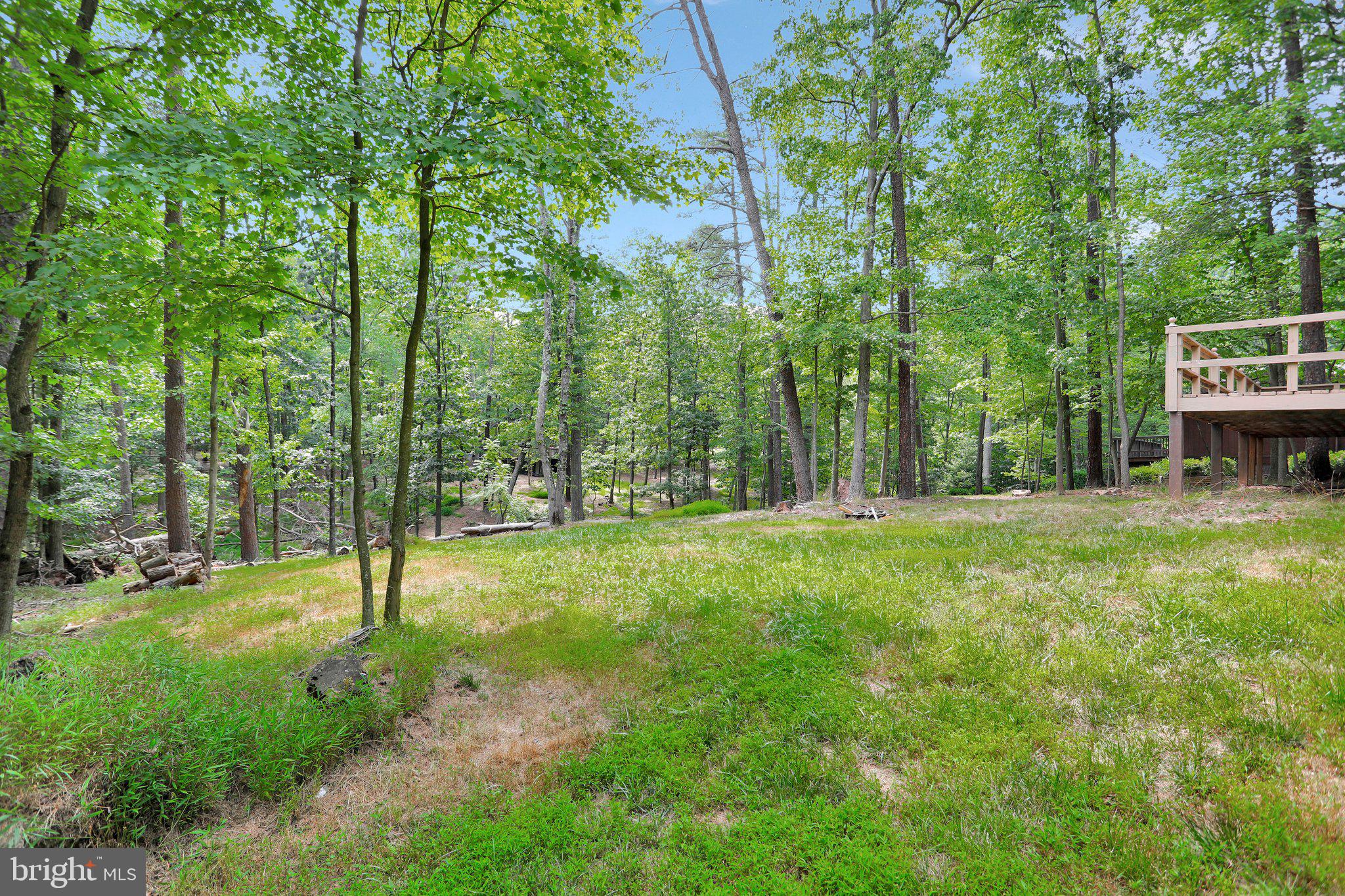 THE WOODS RESORT - Residential