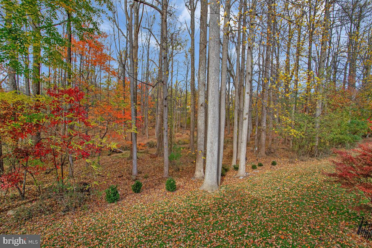 LEGENDS AT TURF VALLEY - Residential