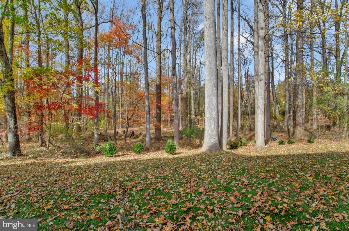 LEGENDS AT TURF VALLEY - Residential
