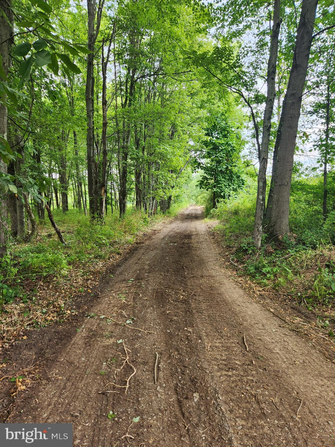 Are you in search of your own slice of paradise to create your dream residence? Today might just be your lucky day! Discover this expansive 11+ acre flag lot tucked away in the tranquil Central Bucks region. Despite its serene seclusion, it's surprisingly well-connected to major roads. Enveloped by lush woodlands and conveniently close to township soccer fields, this property offers endless possibilities.
A meandering driveway leads you to the flag-shaped heart of this spacious lot, where you can envision your custom-built home. Picture yourself in your cozy haven while wildlife roams freely, and sunlight filters through the trees. This area teems with deer, foxes, groundhogs, and an array of fascinating creatures. You can even consider incorporating some of your hardwood trees into the construction process, adding a unique touch to your dream home.
Let your creativity run wild, as there are countless dreams just waiting to be realized by the next fortunate owner. Bring your own builder, or use the available building package for a 4,000 square foot home by Prime Builders. Call Suzanne Bentrim for more detailed information.