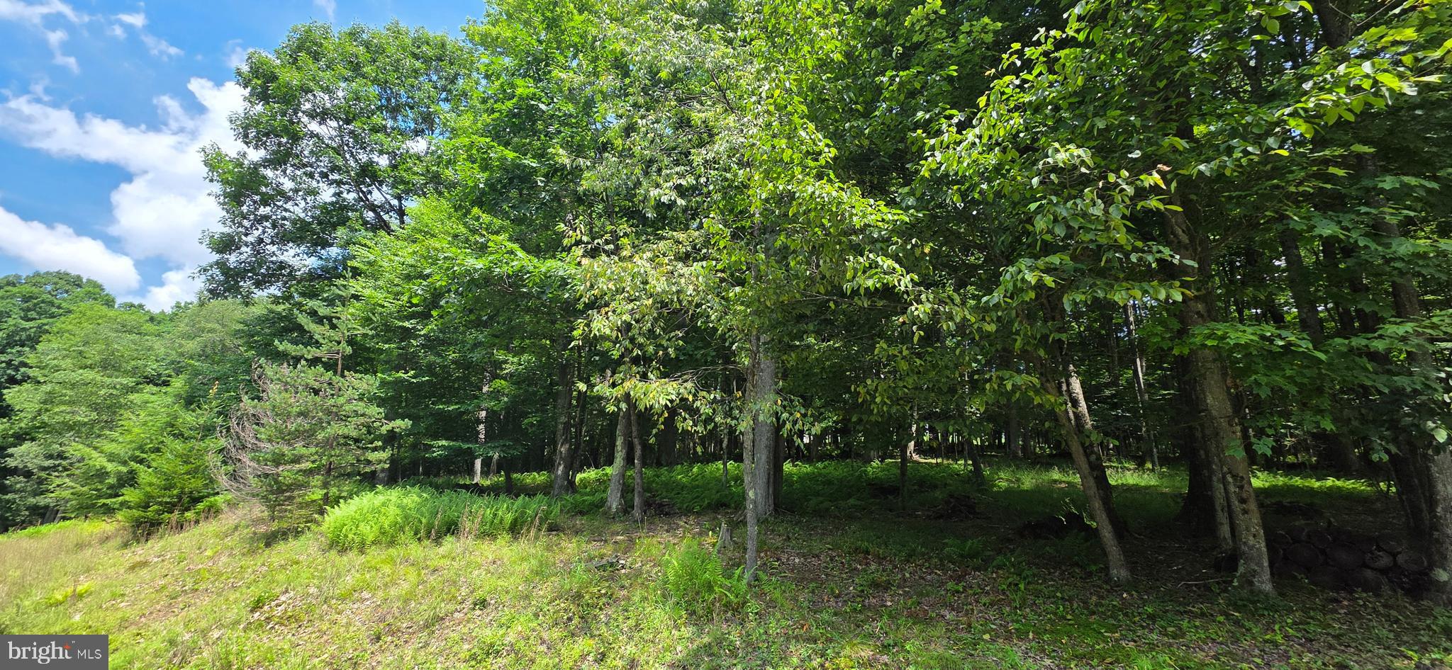 ROBINWOOD DRIVE 13