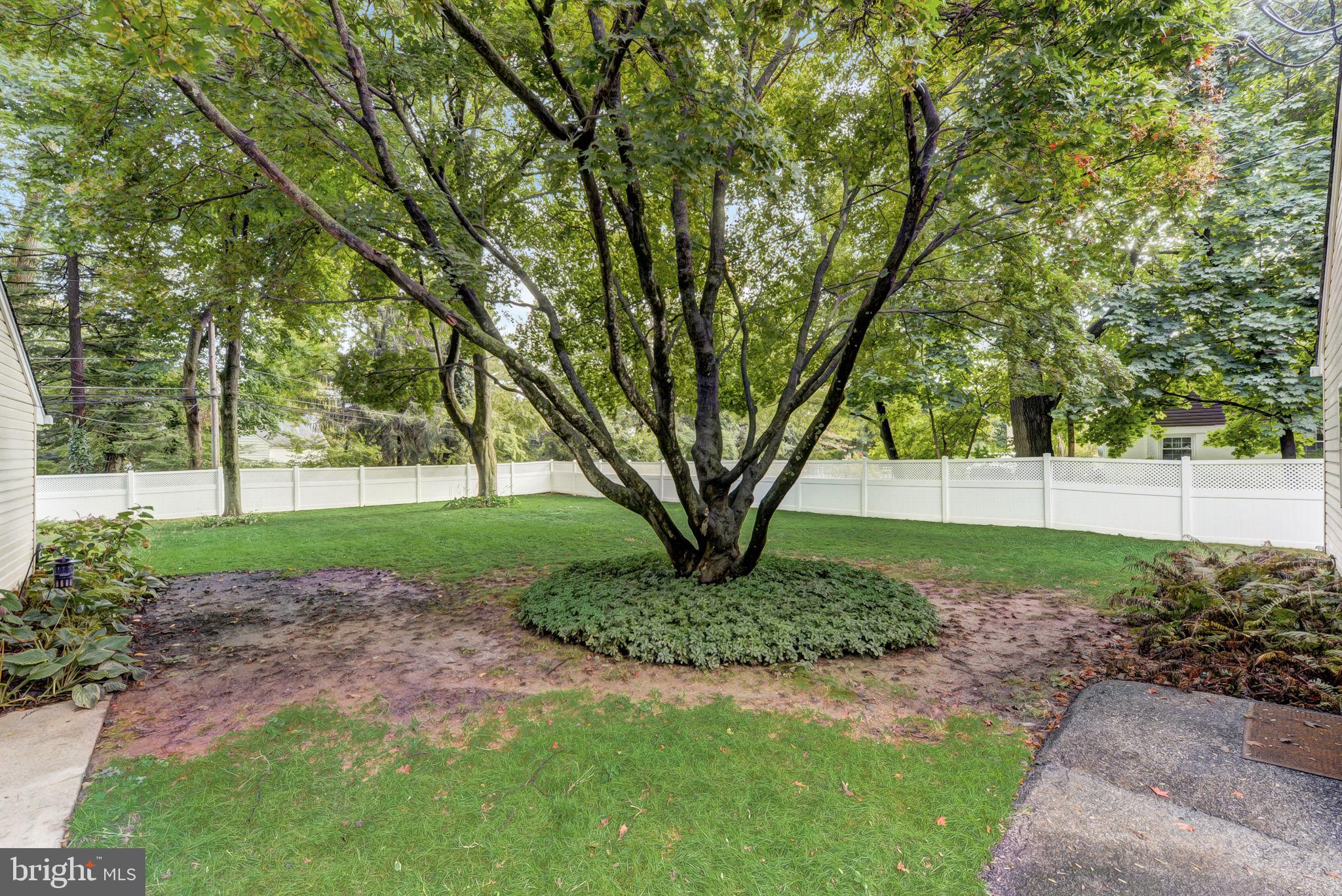 BRYN MAWR - Residential