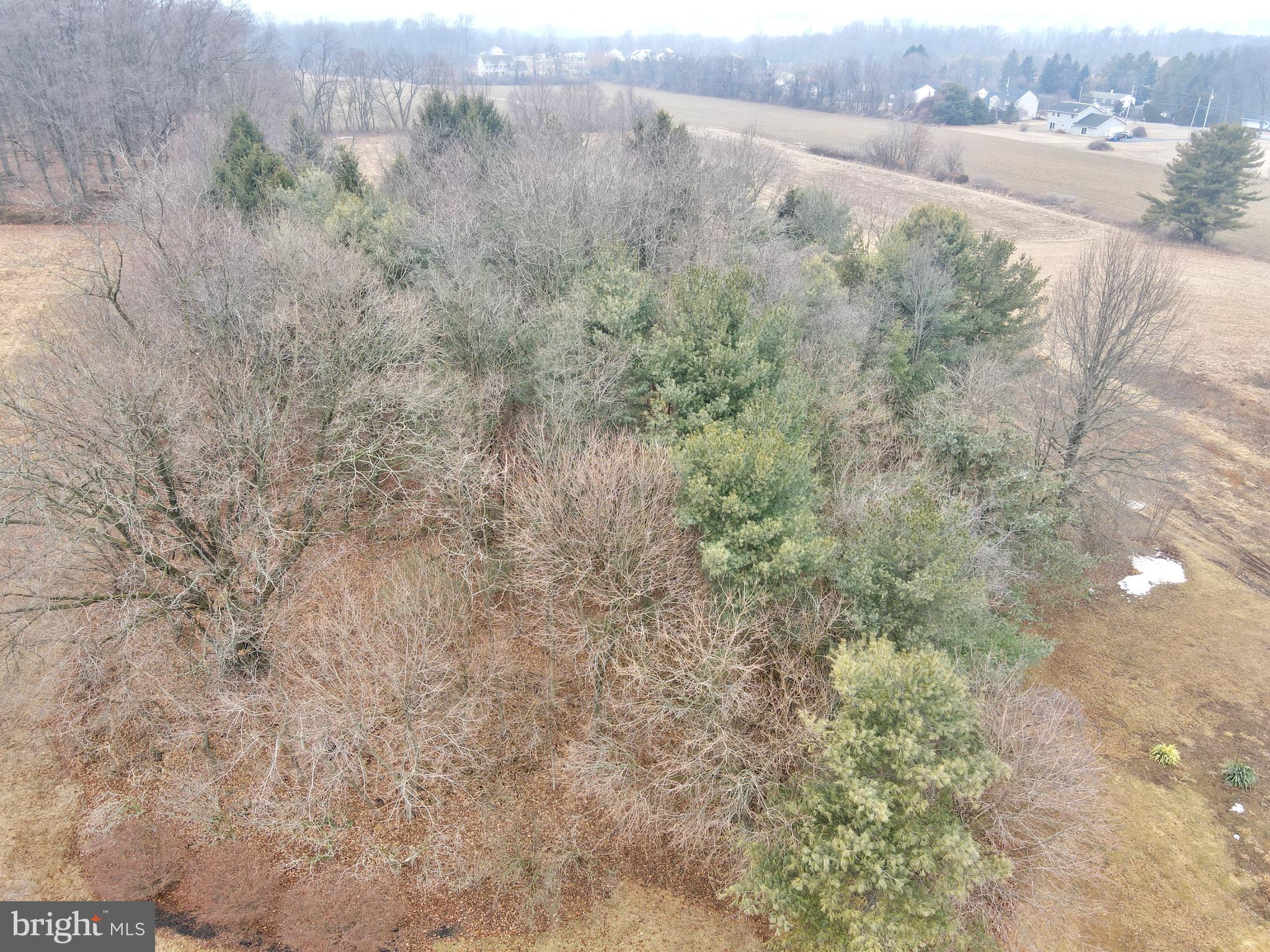 BRANDYWINE CROSSNG - Residential