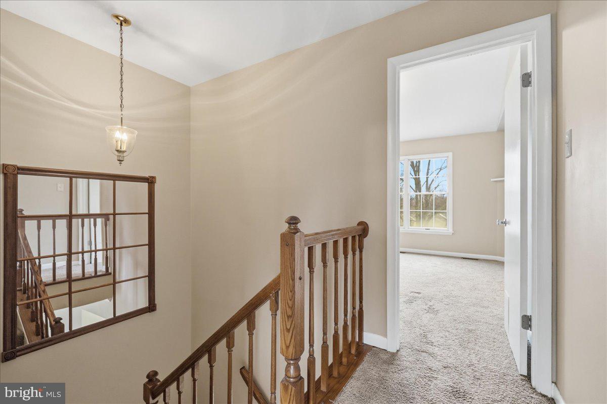 CONSTANT FRIENDSHIP - Residential