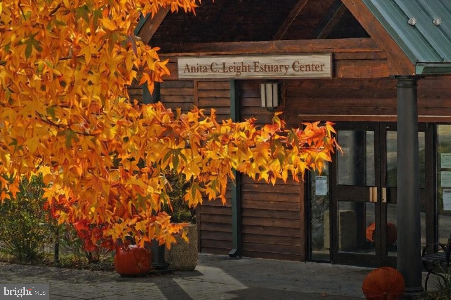 CONSTANT FRIENDSHIP - Residential