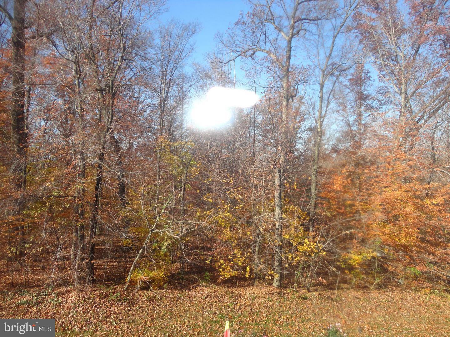 VILLAGES OF URBANA - Residential Lease