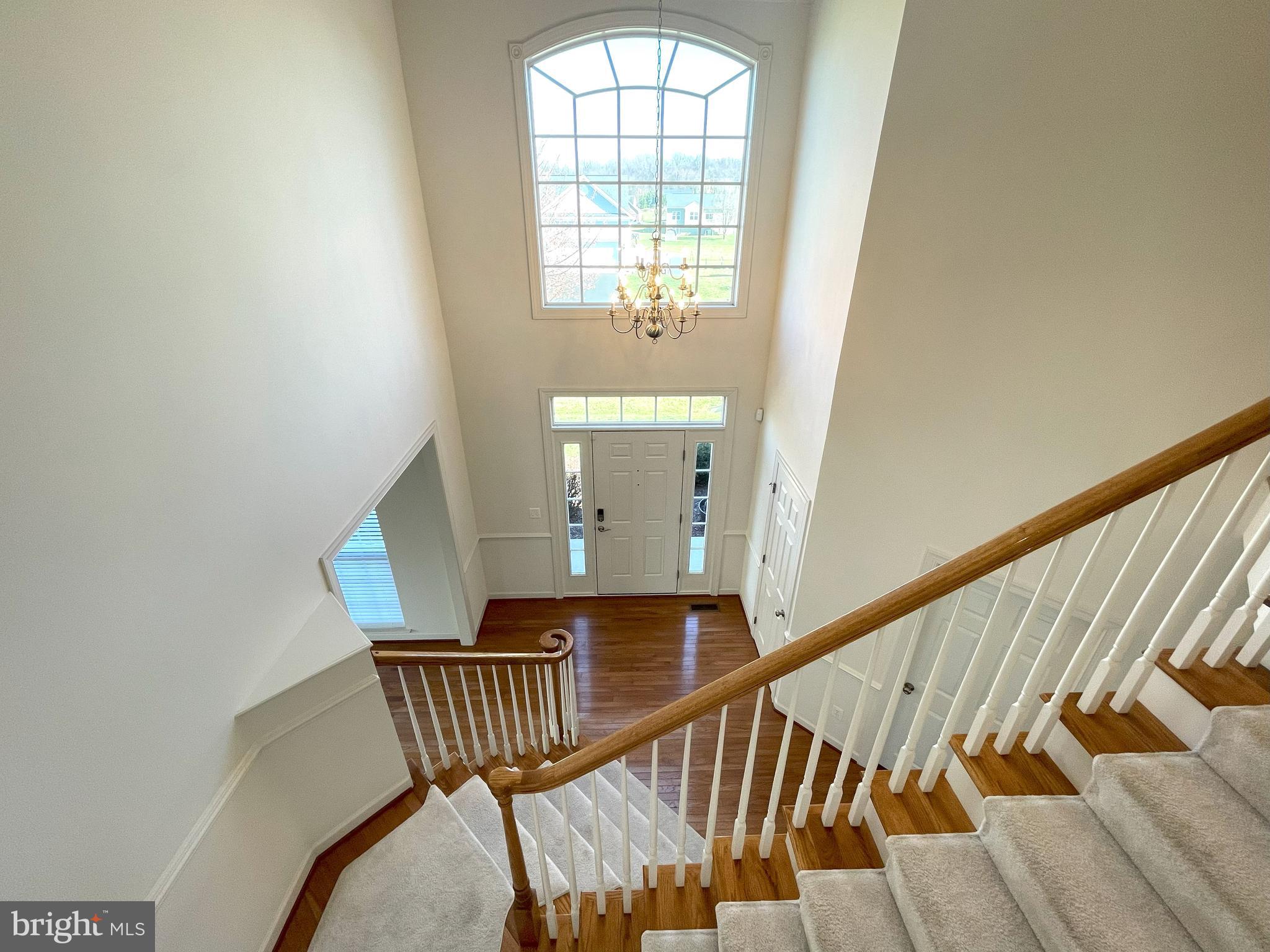 SPRINGDALE FARM - Residential