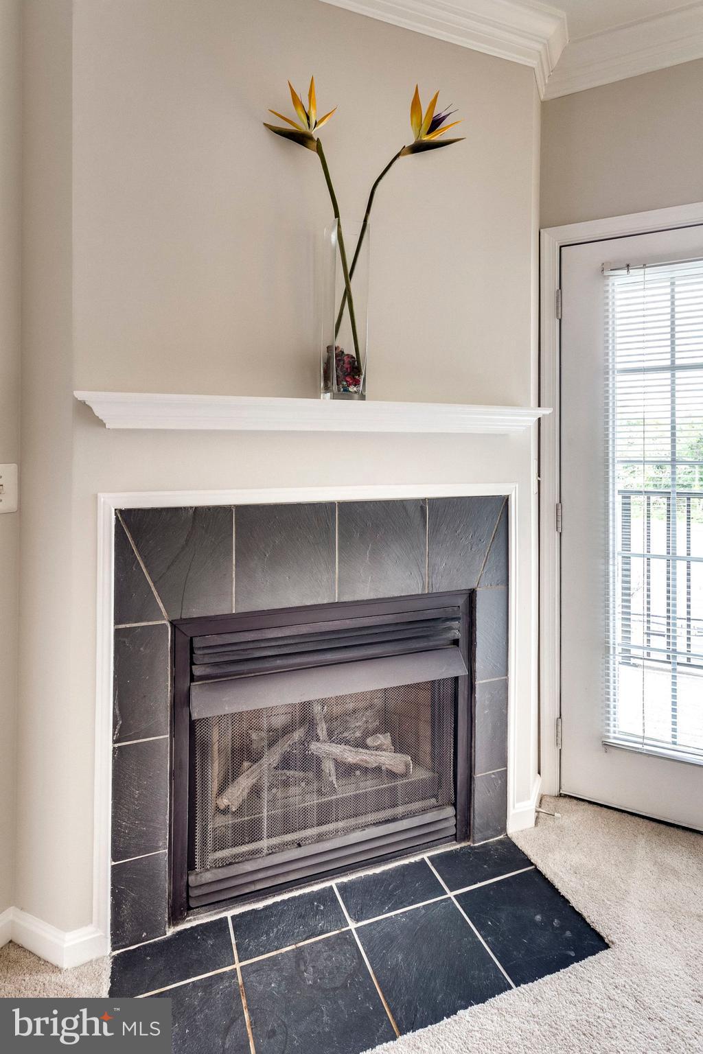 EXCHANGE AT VAN DORN - Residential