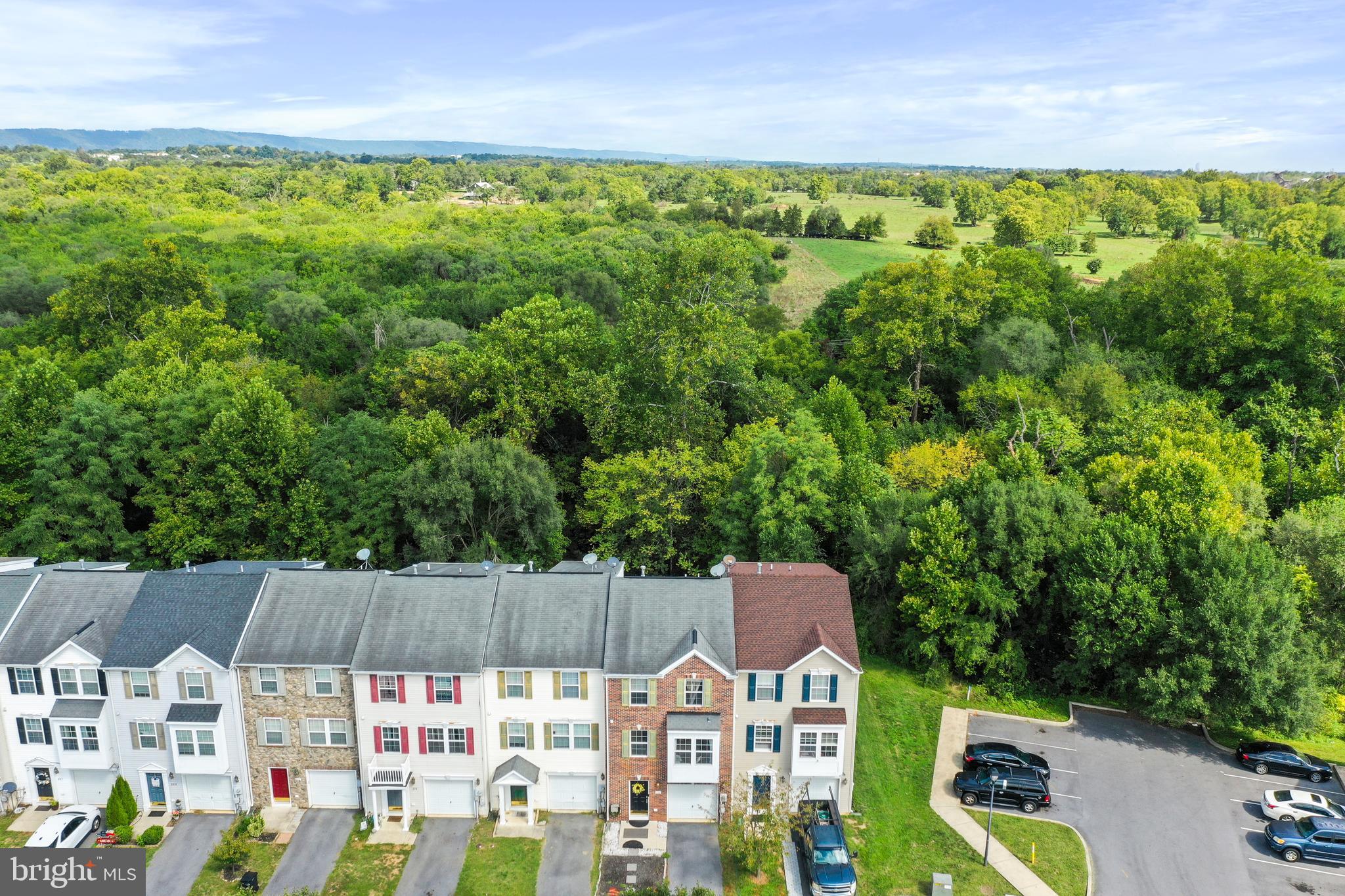 TROUT RUN - Residential