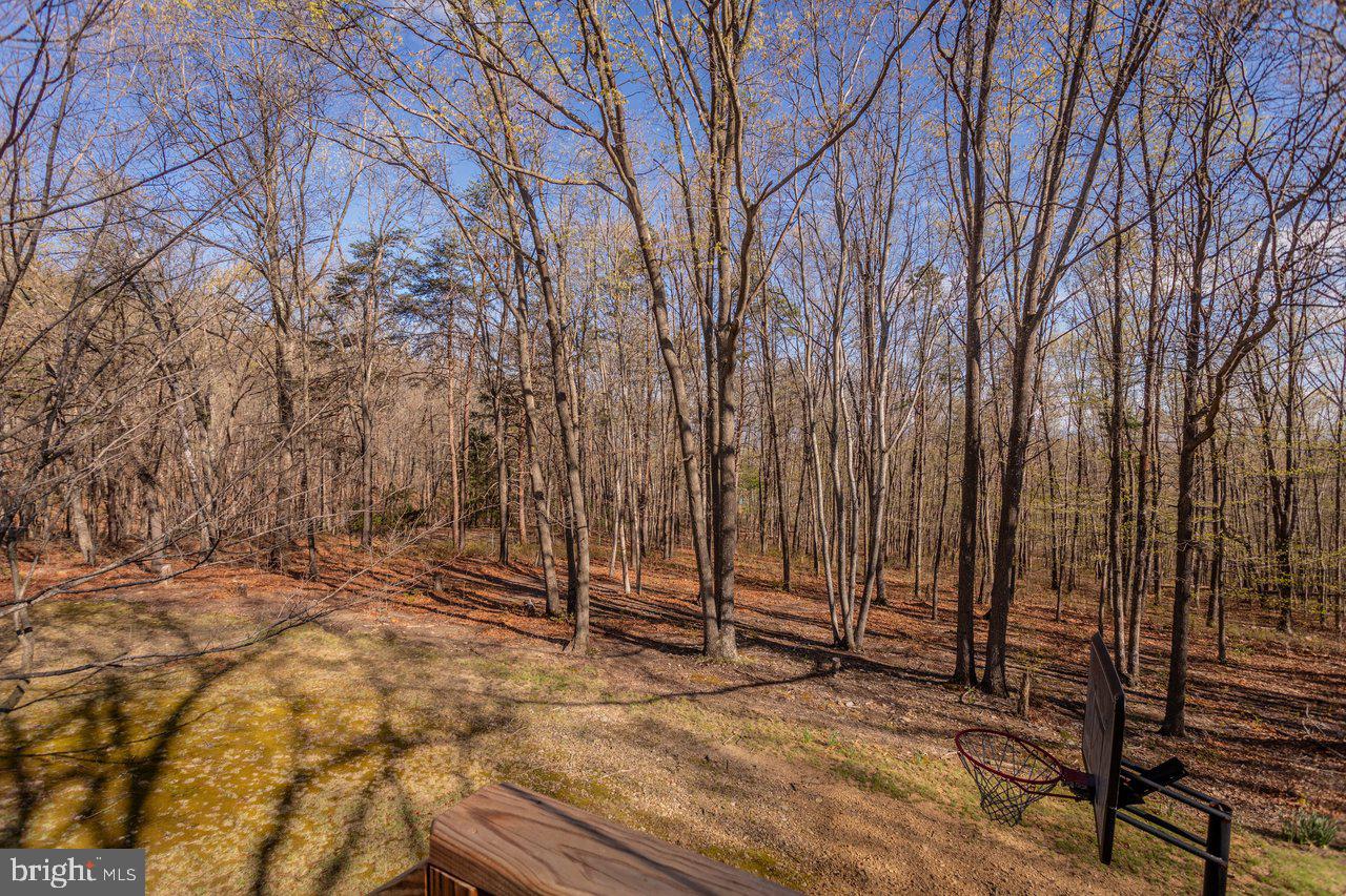 ROUND HEAD MOUNTAIN - Residential