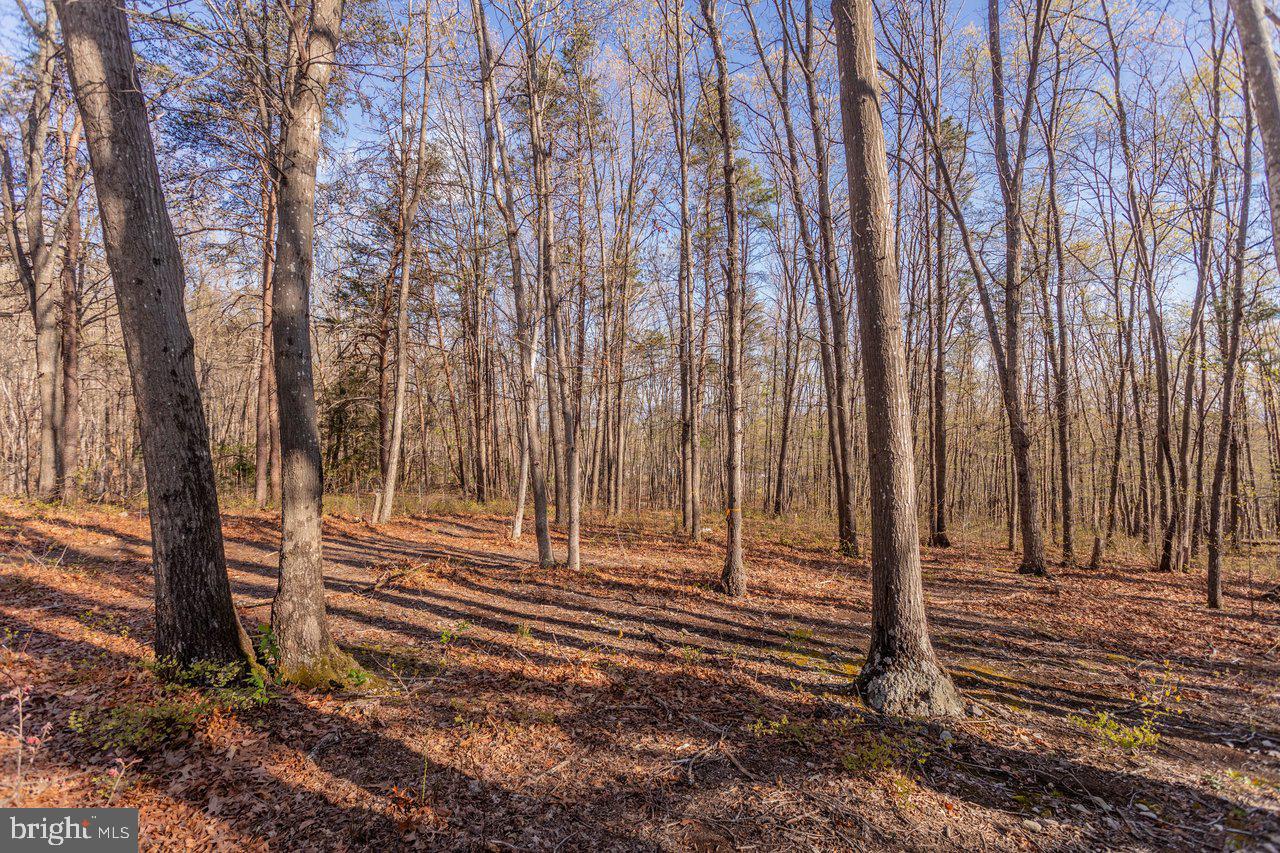 ROUND HEAD MOUNTAIN - Residential