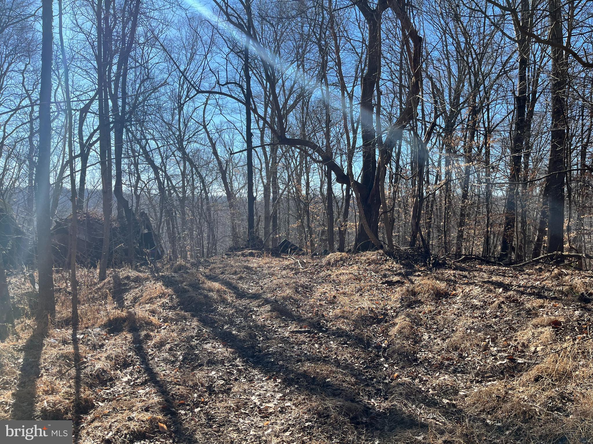 16301 SAINT THOMAS CHURCH ROAD