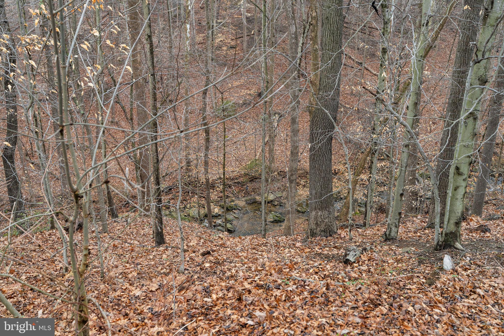 MEADOW WOODS - Residential