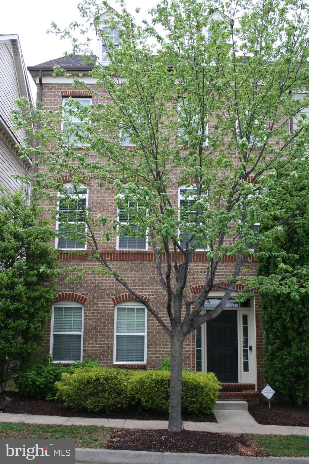 8931 TAWES STREET
