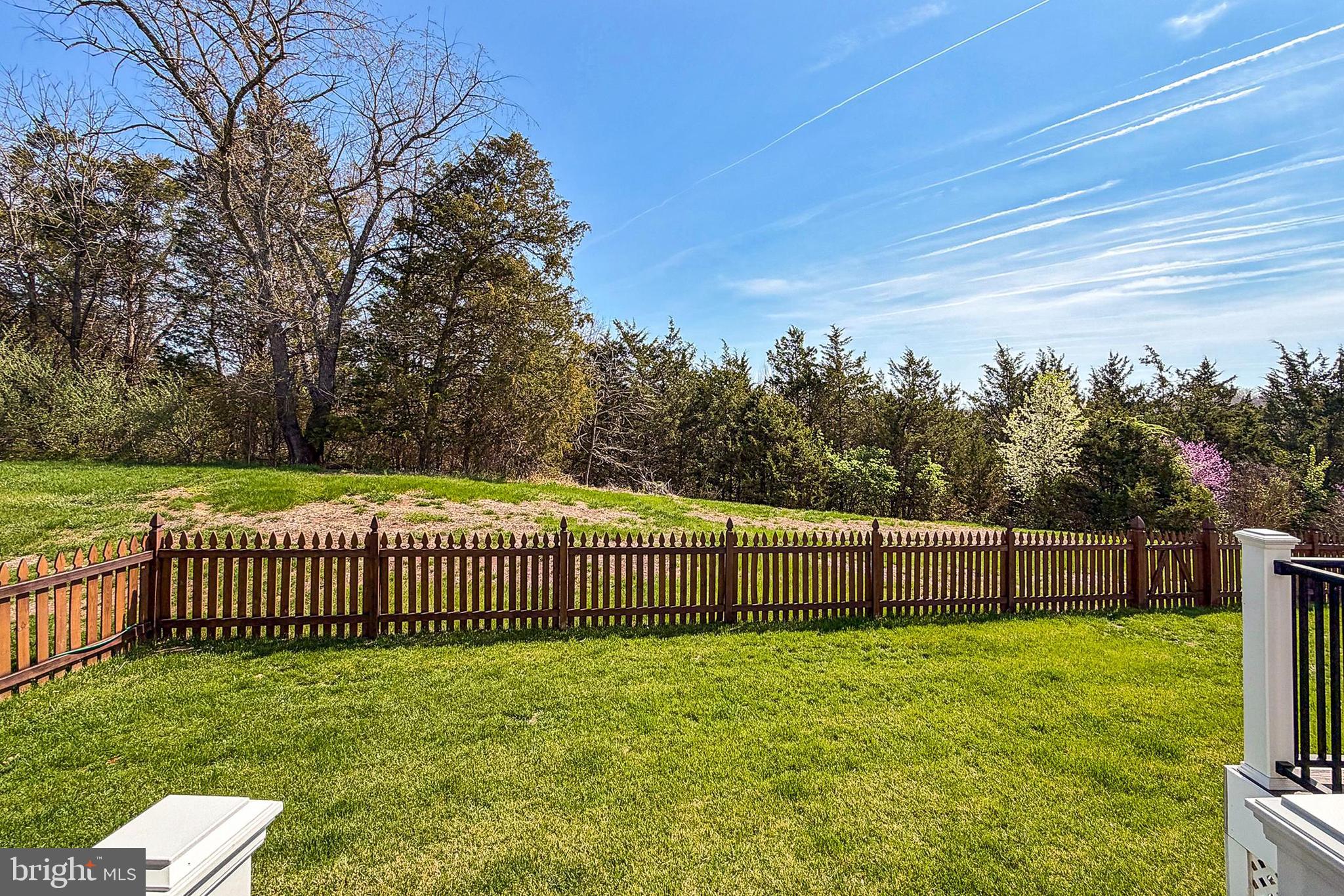 MEADOWS AT MORRIS FARM - Residential