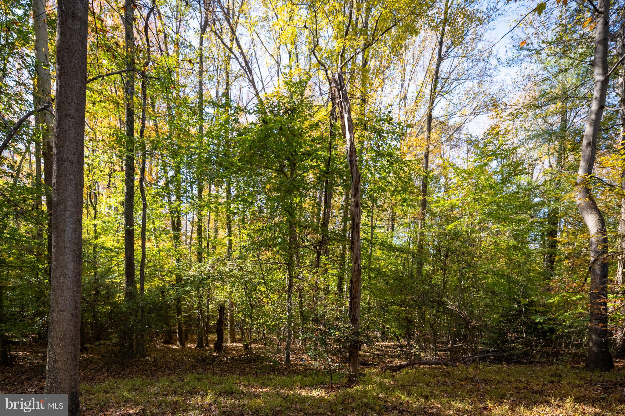 PRESIDENTIAL LAKES - Residential