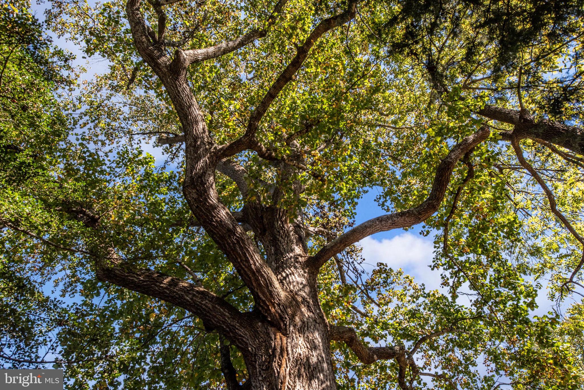 PRESIDENTIAL LAKES - Residential