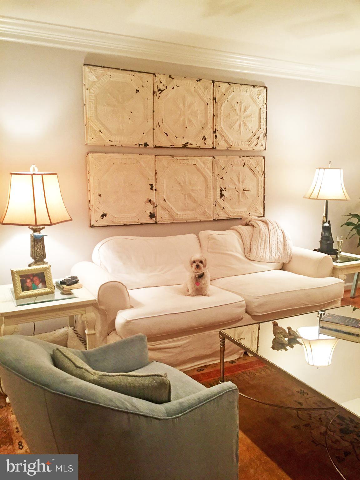 OLD TOWN VILLAGE - Residential